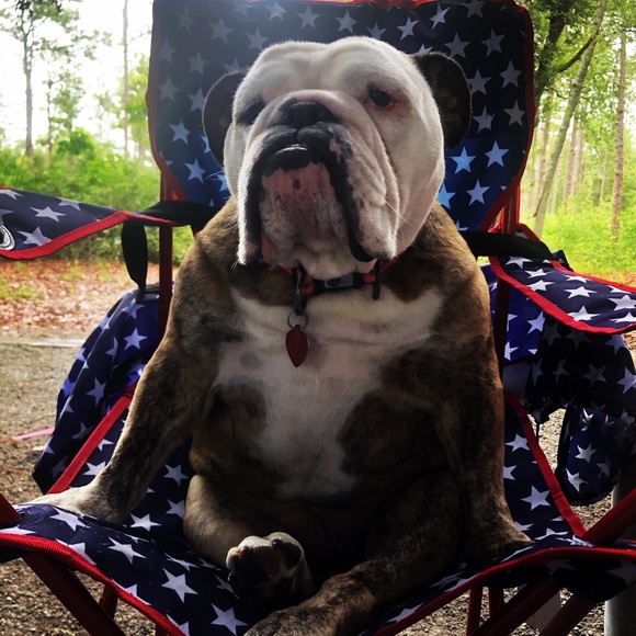 Meet your Posher, Deena - Picture 1 of 1